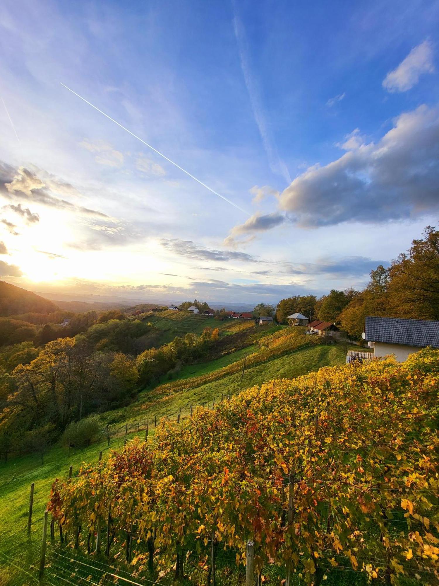 Vineyard Cottage Soncni Gric Trebnje Екстер'єр фото