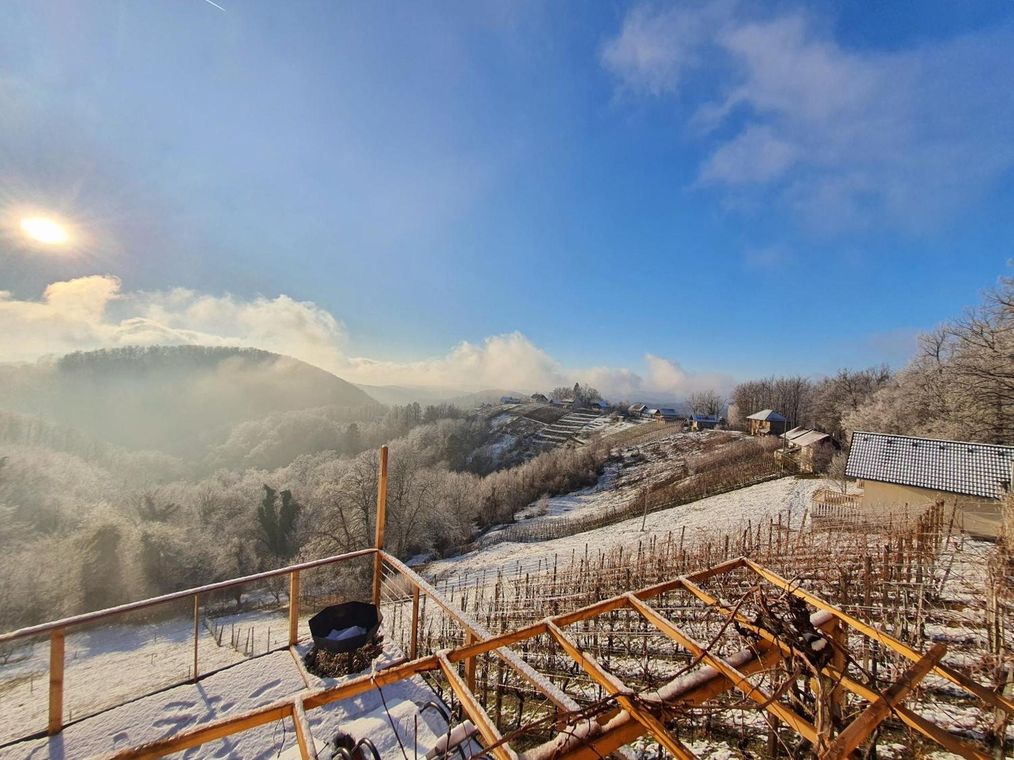 Vineyard Cottage Soncni Gric Trebnje Екстер'єр фото