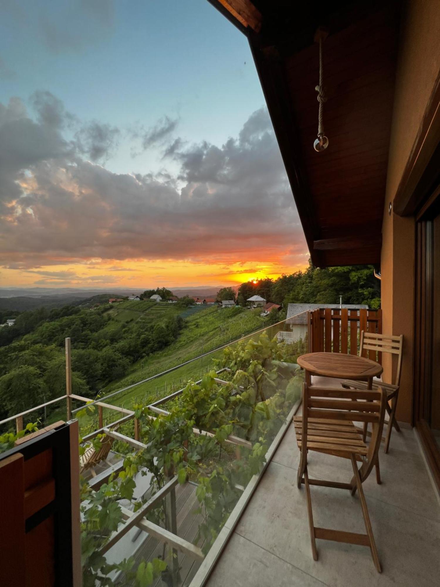 Vineyard Cottage Soncni Gric Trebnje Екстер'єр фото