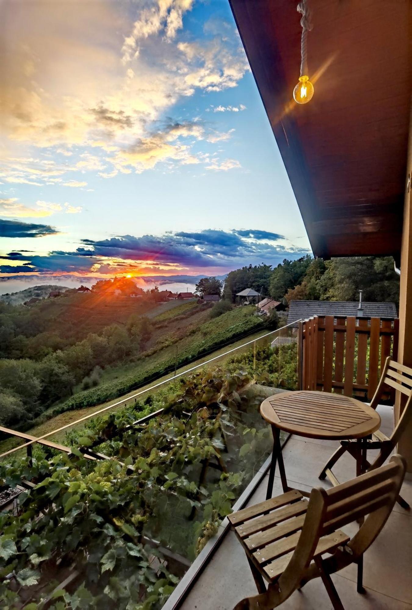 Vineyard Cottage Soncni Gric Trebnje Екстер'єр фото