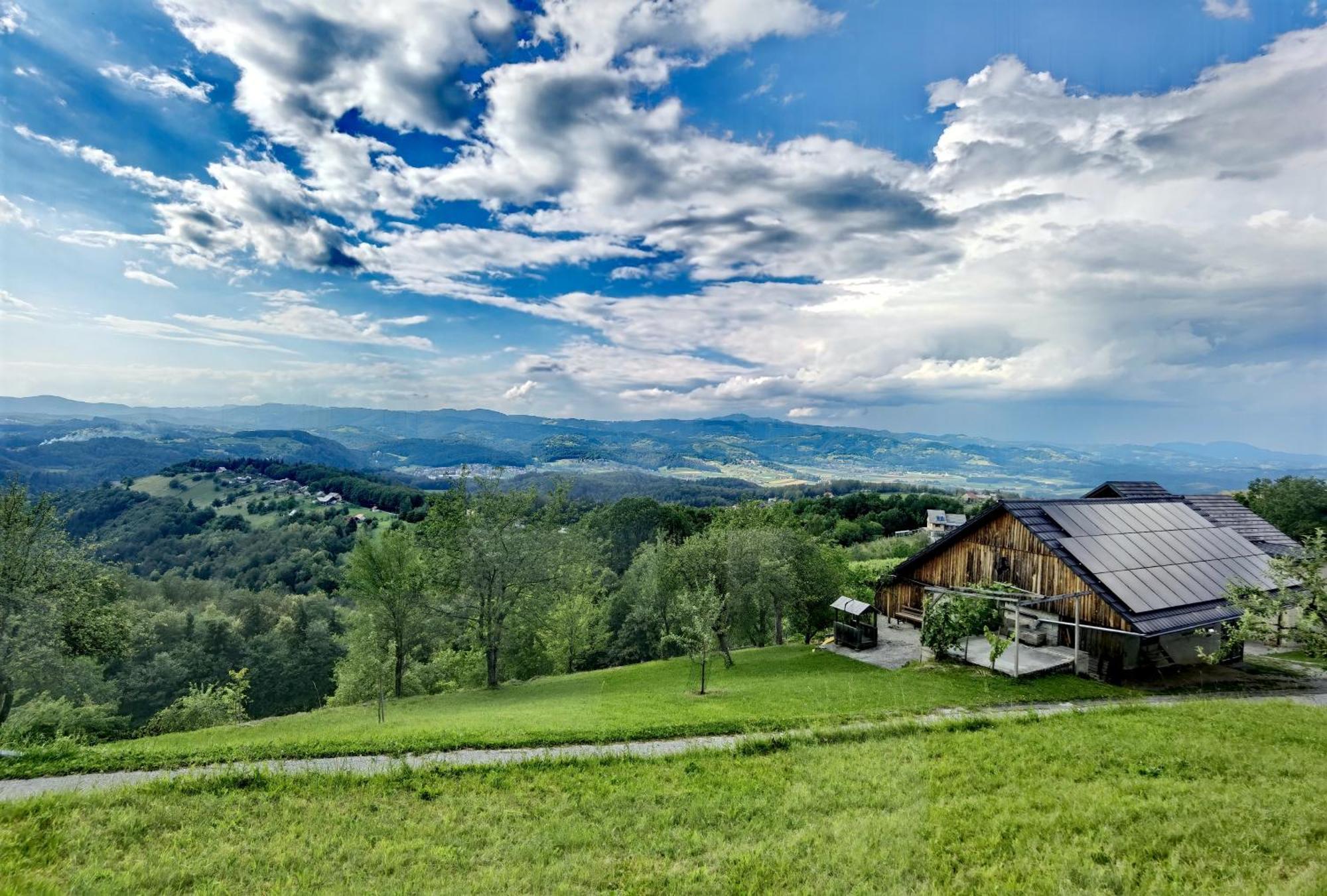 Vineyard Cottage Soncni Gric Trebnje Екстер'єр фото