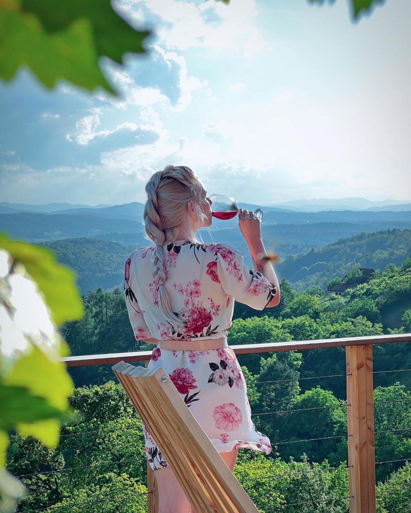 Vineyard Cottage Soncni Gric Trebnje Екстер'єр фото